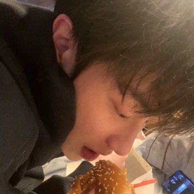 兽设毛发绘画实用教程福瑞群